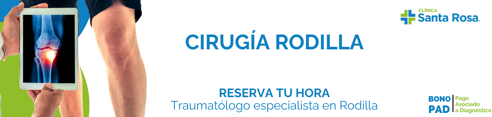 rodilla